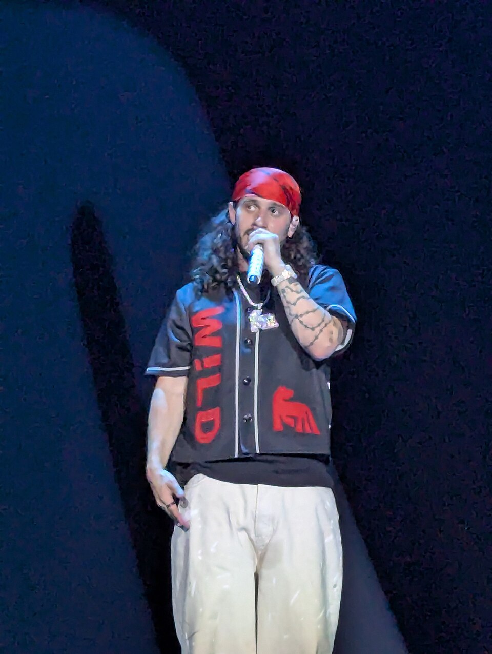 Russ Tamblyn Net Worth: Details Not Found in Rapper's Bios